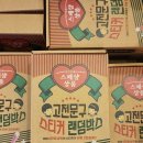 영풍 | 고전문구 스티커 랜덤박스 3000원 솔직한 후기 feat. 영풍문고 종로본점