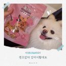 아이러브펫츠 애견 | 기호성 정말 좋았던 강아지황태! 펫츠맘마 강아지황태간식 후기