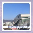 대교약국 | 부산항 국제여객터미널에서 배 타고 후쿠오카 가기 / 뉴카멜리아호 2인 침대실 후기