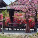 뜨락엔햇살 이미지