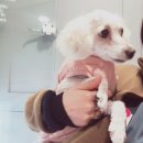 시아동물병원 이미지