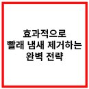 현대항균세탁소 | 효과적으로 빨래 냄새 제거하는 완벽 전략