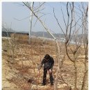 상왕농장 이미지