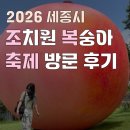도담동싱싱장터앞BRT | 2026 세종 조치원 복숭아 축제 첫날 방문 후기 (개선 필요 사항 있음) 7/24 - 7/26