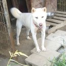 근성목장 이미지