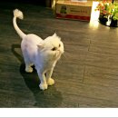 호텔 이그니스 이미지