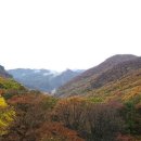 만추 - 달성군 | 만추