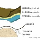 123 미용실