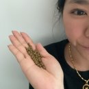 성혜한의원 | 식욕관리엔 믿을 수 있는 성혜웰니스 바이만 편한미 차전자피 건강환 후기