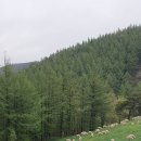 추석! 강릉 추천합니다. 이미지