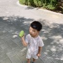 별따줄개 이미지
