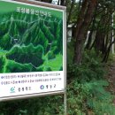 백화산 933m 충북 영동군. 경북 상주시 & 근육질 맹수의 힘찬 등줄기를 연상시키는 굵직한 산릉들이 다양한 명산 이미지