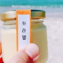 시도푸딩