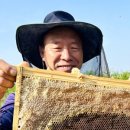 아빠농원