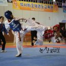 석사 비호태권도장 이미지