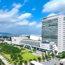 무안시장(무안임시시장) 이미지