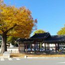 풀뿌리게스트하우스 이미지