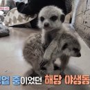 송치농장 이미지