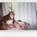 인화아이프라자 이미지