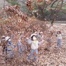 파주시유아숲체험원 이미지