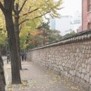 돌담추억 이미지