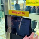 가보 | 전현무계획 맛집! 속초 가보오토종닭 돌짜장 후기