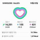 짙은안개속걷기운동동네아주머니들두분닭모이구입토란종자박스보관 11.88km 16251보를걷기누계 4,590,524를걸어서3.354.42 이미지