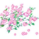 창녕 남지 개비리 이미지