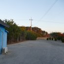 수선화펜션가족단체독채갯벌체험 이미지