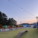 살구펫 | [내돈내산] 서울근교 애견동반 글램핑, 청주 멍글멍글 펫글램핑 솔직 후기