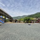 돌고래풀하우스 이미지