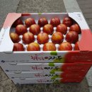별빛촌 이미지