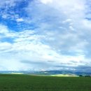 일이펜션 이미지