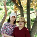 한가라지 이미지