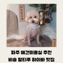 남매미용실 | 말티푸와 비숑프리제인 조미료삼남매가 강아지미용실 빙그루밍다녀온 후기