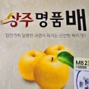 모실농장 이미지