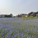 대벌경로당 이미지