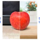 폰스튜디오