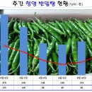 저단9 이미지