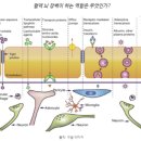 파킨슨병의 원인과 치료4 이미지