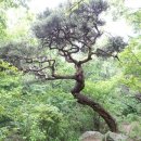 슬치마을회관 이미지