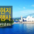 원더풀여행사
