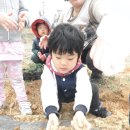 해맑은2농장 이미지