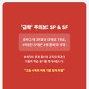 로지플교육