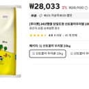 푸디앤