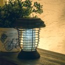 자유행정사사무소 이미지