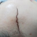 우주브로우(woozoo brow) | 부산 만덕동 스킨플래닝 속눈썹 잘하는 제이브로우 추천