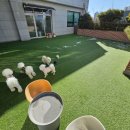 구름이 그린 달빛 이미지