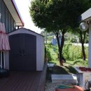 엔젤코바 이미지