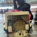 너울농장 이미지